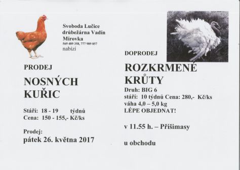 drůb