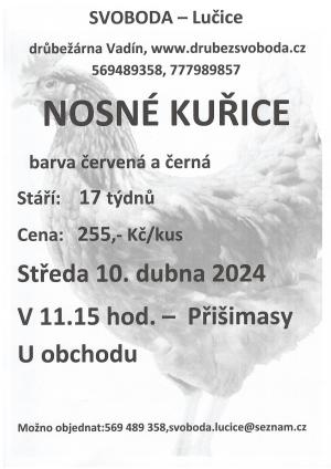 Leták