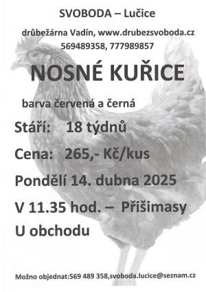 Plakát