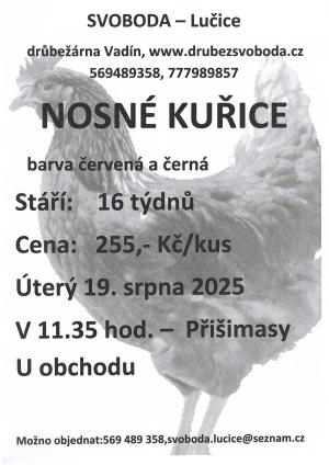Plakát