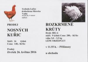 Prodej nosných kuřic a krůt dne 26. 5. 2016 v 11.55 hodin